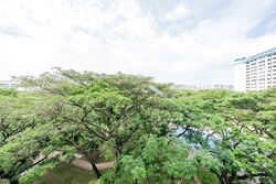 Blk 529 Bedok North Street 3 (Bedok), HDB 3 Rooms #502670551